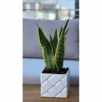 Keramični lonec Glamour 02.658.14